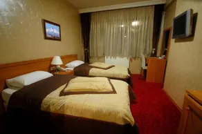 Grand Ulger Hotel - Image 3