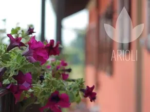 Top Residence Arioli - Image 1