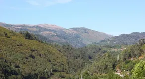 Alojamento Albino Pinto - Image 5
