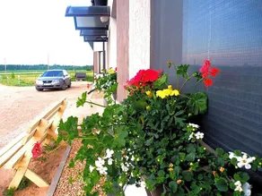 Motel Golden Fox - Image 4