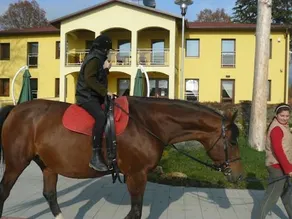 Penzión Hippoclub - Image 3