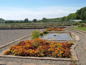 Lillimoor Farm Cottages - Image 2