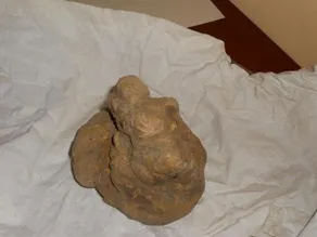 Il Cedro - Image 2