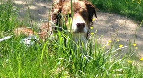 La Bouriote L'etable - Image 5