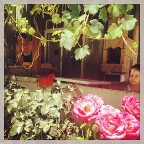 Sahin Guest House - Image 3