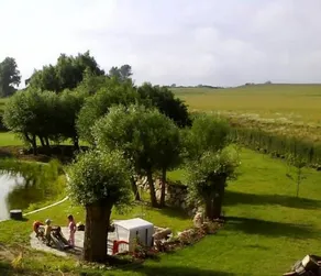 FeWos mit unverb Sicht auf den 200m entfernten Bodden - Image 4
