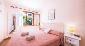 Bouganvillea - Image 5