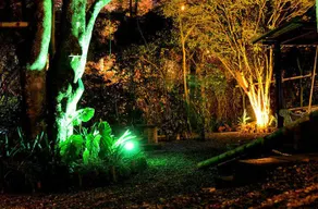 Bambu Glamping Medellin - Image 3
