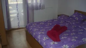 Cabana Ioana Balas - Image 2