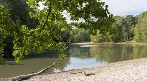 De Stal - Image 3