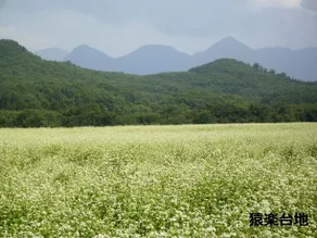 Aizu Yunokami Onsen Osakaya - Image 5