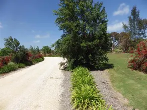 Ashwood Park Bed and Breakfast - Image 5