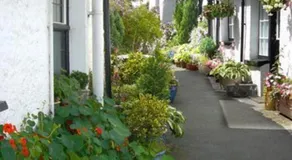 The Mews - Image 2