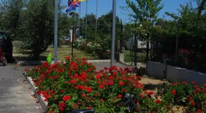 Camping Village Adriatico - Image 4