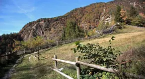 Baita Nonna Maria - Image 5