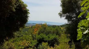 1 Trova-Ranocchietto - Image 5