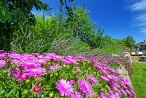 Enjoy Your Holiday Enjoying Sounds Of Nature And Central Istria Natural Beauties - Image 4