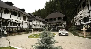 Complex Lions Bucovina - Image 2