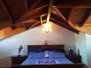 Villa Martin Dalyan - Image 3