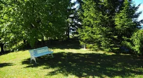 King Of The Hill - Image 5