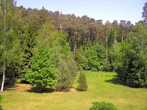 Egliu Slenis - Image 4