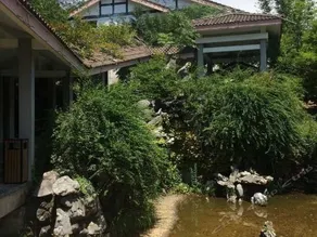 Wanghu Resort - Image 4