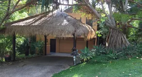 'The Tree House.' Treetop living near the ocean, Coolum Beach, QLD, Australia - Image 4