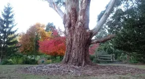 Altona Garden Retreat - Image 4