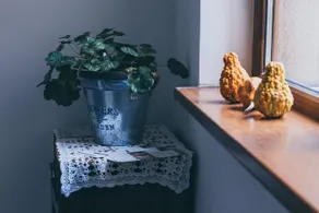 Aleko Apartments - Image 4