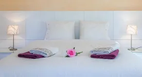 Can Camelia - Image 3
