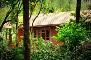 TROPICAL RAIN, COORG - Image 2