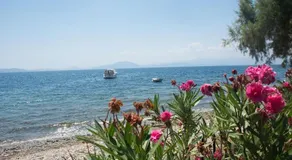 Romantic Seafront Studio - Dream Garden - Image 3