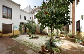 Apartamentos Patios de Alcántara - Image 4