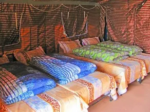 Wildex Tent - Image 4