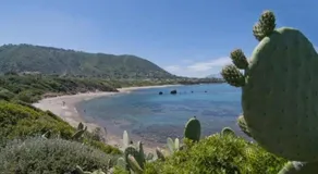 Villa Gaia - Image 3