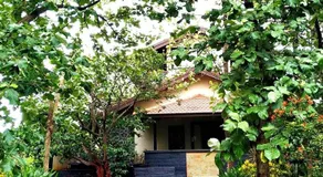 Jungle Safari Resort & Holiday Villa - Image 4