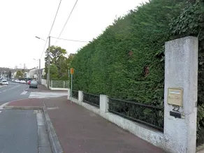 L'Orangine - Image 5
