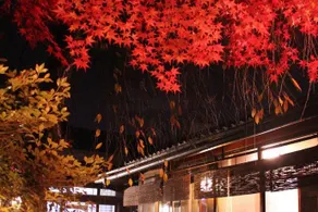 100 Years Old Kyoto Gardener House - Image 5