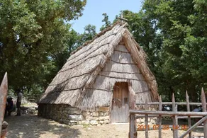 Azienda Agricola Traina - Image 2