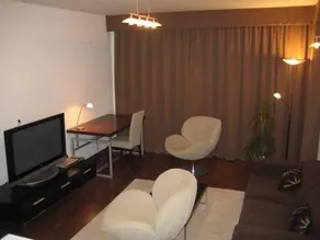 Luxury Downtown Apartments - Image 3