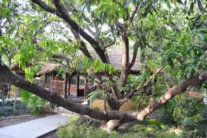 Corbett International SPA & Health Resort - Image 2