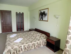Hotel HANUL CU FLORI - Image 2