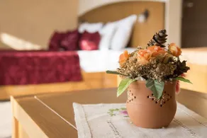 Bed and Breakfast Kovacevic - Image 5