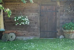 Hallikivi Tourist Farm - Image 4