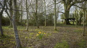 Claytons Cottage - Image 5