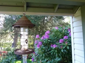 Birds of a Feather Cowichan Bed and Breakfast - Image 3