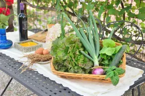 Fattoria Antonella - Image 5