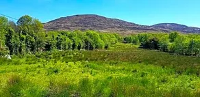 Mountain View B&B Kenmare - Image 2