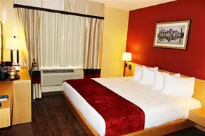 Hotel Lynx - Image 3