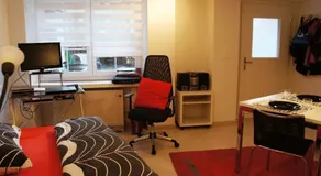 Studio-Appartment Horgen - Image 3